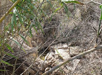 portugal/vilamoura/attraction/acude-do-banco