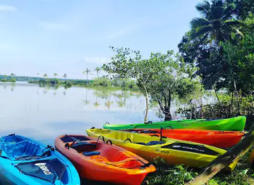 Varkala Mangrove Kayaking and Boating