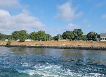 massachusetts/cape-cod/attraction/butterflies-of-cape-cod