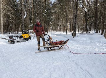 canada/haliburton-highlands/attraction/winterdance-dogsled-tours