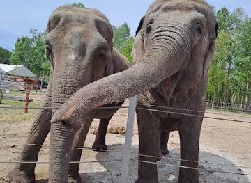 hungary/alfold-great-hungarian-plain/attraction/cirkuszi-sator