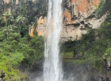 australia/surfers-paradise/attraction/purling-brook-falls-springbrook-national-park