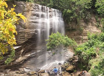 grenada/saint-andrew/attraction/mt-carmel-falls