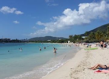 british-virgin-islands/west-end/attraction/lindbergh-bay-beach