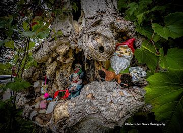 wisconsin/door-county/attraction/fairy-tree