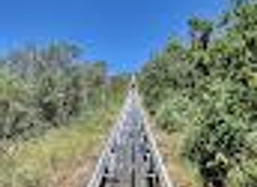 colorado/glenwood-springs/attraction/alpine-coaster