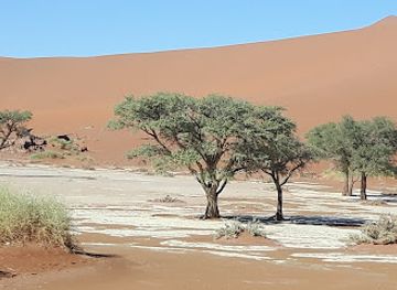 namibia/namib-naukluft-national-park/attraction/deadvlei