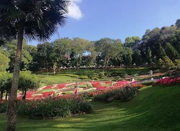 thailand/chiang-rai/attraction/doi-tung