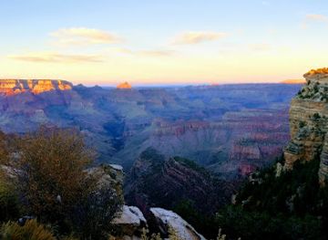 arizona/havasu-falls/attraction/raptor-ranch