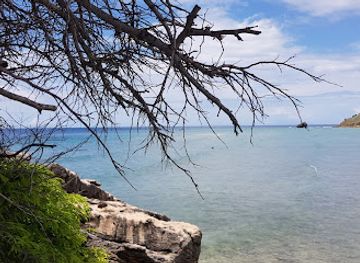 indonesia/komodo-national-park/attraction/gusoh-kubu