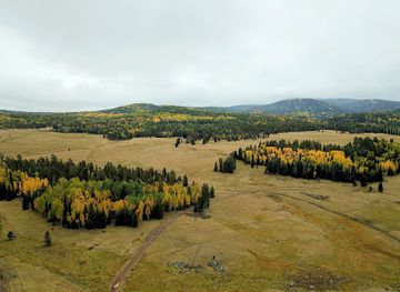 arizona/white-mountains/attraction/mount-baldy-wilderness