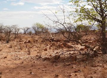 namibia/erongo/attraction/elephant-rest-lodge