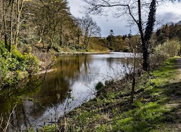 united-kingdom/west-glamorgan/attraction/penllergare-valley-woods