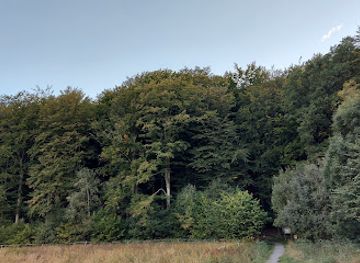 sweden/vastergotland/attraction/karna-bokskog