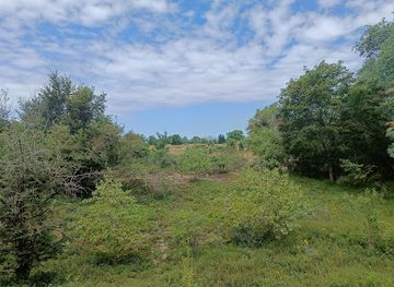 belgium/de-panne/attraction/calmeynbos