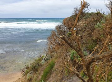 australia/great-ocean-road/attraction/wild-dog-cove-port-campbell