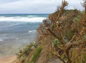 Wild dog cove, Port Campbell