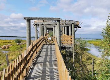 finland/north-ostrobothnia/attraction/virkkula-bird-watching-tower