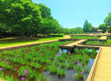 japan/osumi/attraction/yamazaki-park