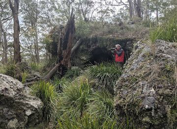 australia/new-england/attraction/thunderbolts-cave