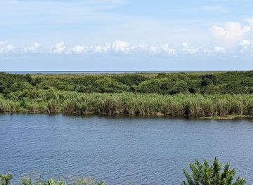 florida/lake-okeechobee/attraction/lake-okeechobee-scenic-trail