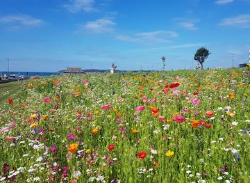 jersey/saint-saviour/attraction/victoria-park