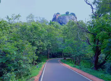 Sarath Safari Sigiriya