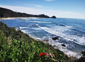 australia/mid-north-coast/attraction/sea-acres-rainforest-centre