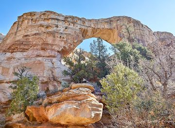 utah/grand-staircase-escalante-national-monument/attraction/lower-hackberry-canyon-trailhead