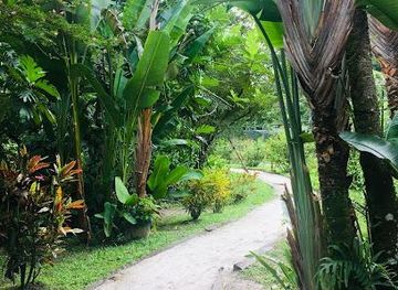 suriname/lelydorp/attraction/para-flor