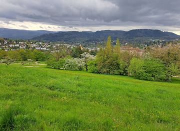 germany/baden/attraction/stein-der-weisheit