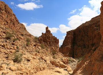 israel/negev/attraction/nahal-abuv-reserve