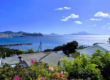 saint-kitts-and-nevis/nevis-lowlands/attraction/palms-court-gardens