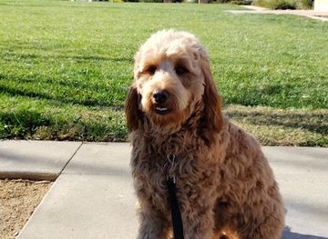 california/irvine/attraction/terrace-garden-park