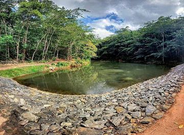 sri-lanka/kandy/attraction/dunumadalawa-forest-reserve