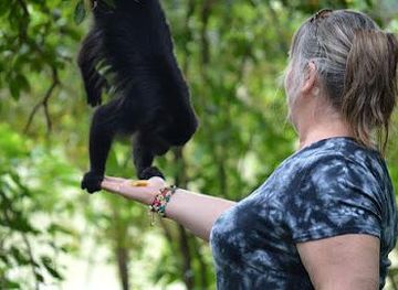 belize/caye-caulker/attraction/altun-ha-maya-ruins-and-community-baboon-sanctuary