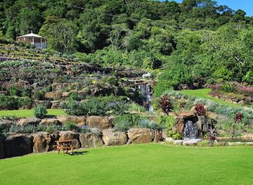 australia/southern-queensland/attraction/maleny-botanic-gardens-bird-world
