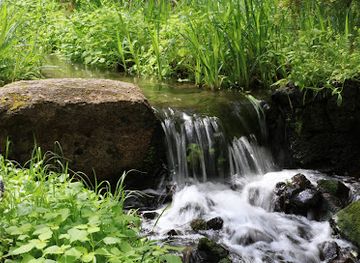 washington/spokane-river/attraction/john-a-finch-arboretum