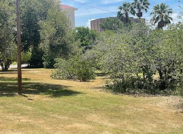 texas/south-texas/attraction/blucher-nature-park