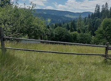 ukraine/trostyan/attraction/sadyba-korova-lis