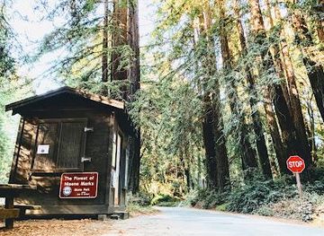 california/milpitas/attraction/the-forest-of-nisene-marks-state-park