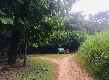 sierra-leone/sherbro-island/attraction/outamba-kilimi-national-park