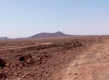 jordan/azraq-wetland-reserve/attraction/barkan-alayh-alshuweir