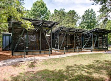 south-carolina/francis-marion-national-forest/attraction/the-avian-conservation-center-center-for-birds-of-prey