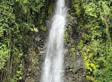 saint-vincent-and-the-grenadines/mustique/attraction/dark-view-fall