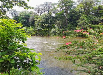 costa-rica/sarapiqui/attraction/hormigas-town
