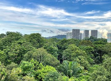 singapore/serangoon/attraction/chestnut-nature-park
