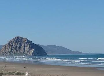 california/pismo-beach/attraction/morro-bay-estuary
