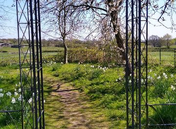 united-kingdom/cheshire/attraction/lewis-carroll-centenary-wood