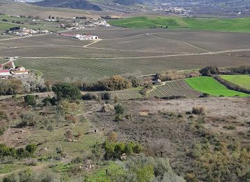 portugal/ribatejo/attraction/monte-dos-castelinhos-roman-ruins